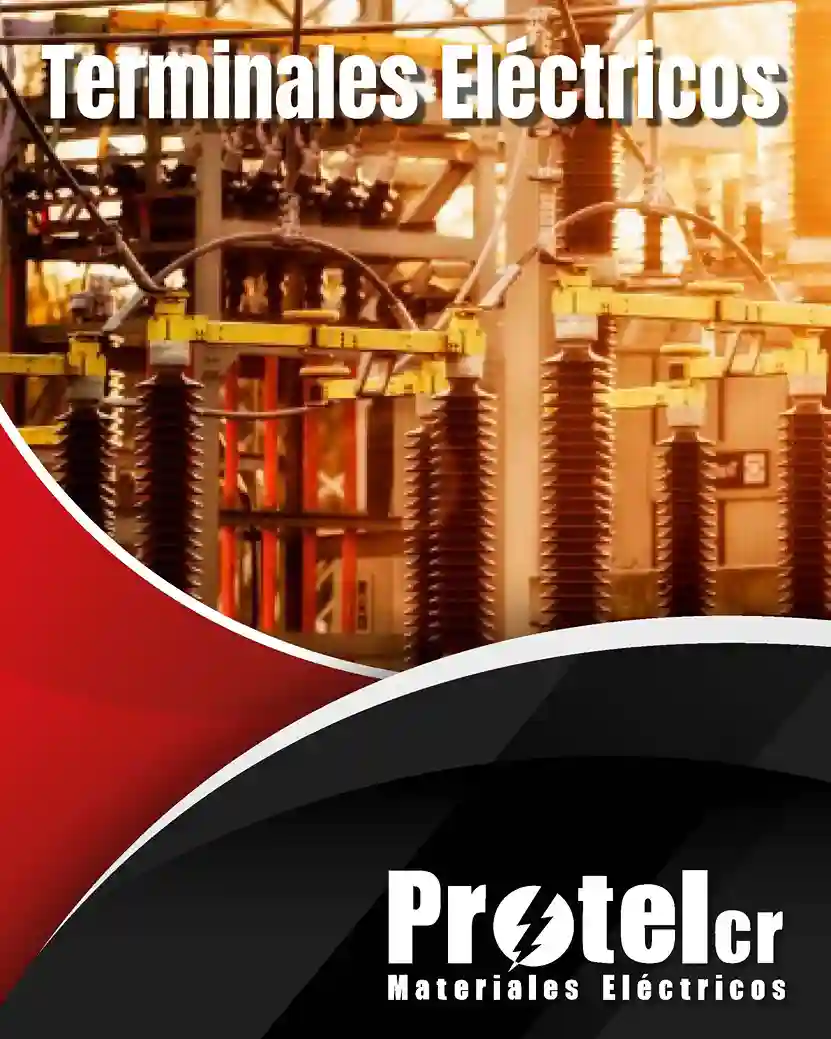 Terminales Eléctricas